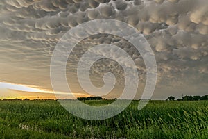 Mammatus clouds at the back of a severe thunderstorm in northern Nebraska photo