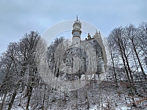 Neuschwanstein castle during winter time photo