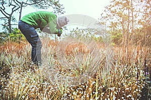 Photographer  asian women travel  nature. Travel relax. Photography Nature Flowers. Nature Study in the Jungle. Thailand