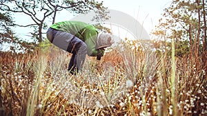 Photographer  asian women travel  nature. Travel relax. Photography Nature Flowers. Nature Study in the Jungle. Thailand