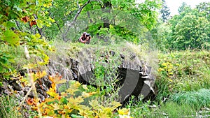 Photographer catches the moment for a picture sitting on the bridge