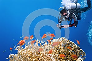 Photographer on the coral reef