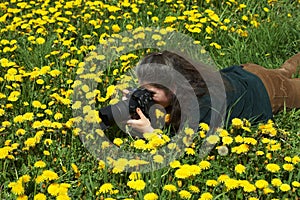 Photographer and dandelions