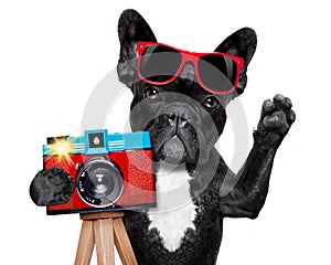 Fotógrafo el perro 