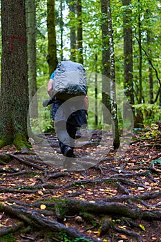 Photographer with heavy backpack and camera in the forest