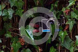 Photographer Hiding In Forest