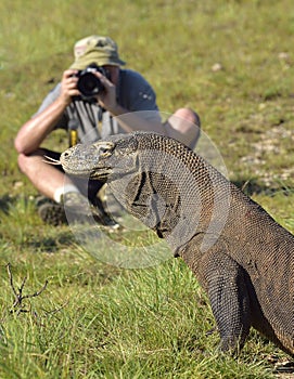 The photographer and Komodo Dragon