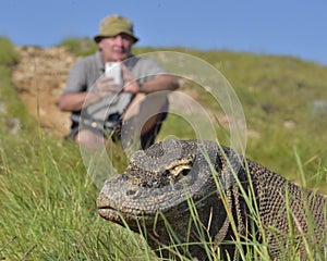 The photographer and Komodo Dragons Varanus komodoensis on island Rinca. Komodo dragon is the biggest living lizard in the worl photo