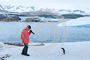 Photographer and model, bird wildlife nature photography, tourist taking photo of penguin in Antarctica