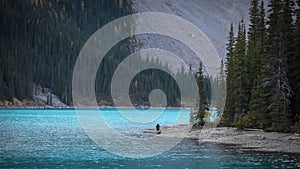 Photographer at Moraine lake in Banff national park