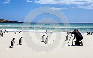 Photographer with penguins at Falkland Islands