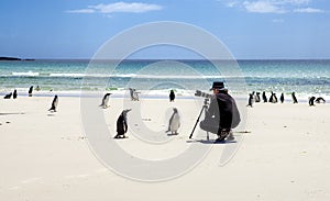 Photographer with penguins at Falkland Islands-2 photo