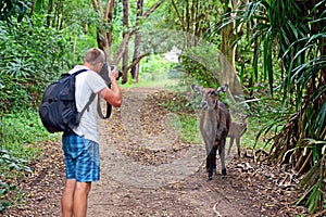 Photographer photographing antelope