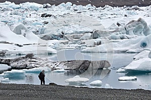 Photographer picking up pieces of icebergs
