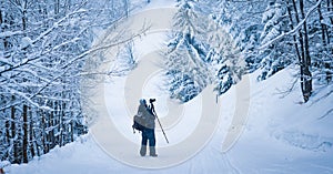 The photographer shoot a mountain forest in the Carpathians in rainy and snowy weather