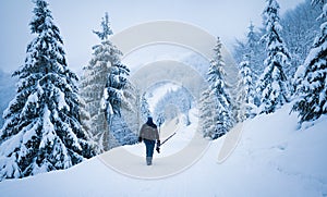 The photographer shoot a mountain forest in the Carpathians in rainy and snowy weather