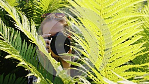 Photographer shooting wildlife among fern bushes