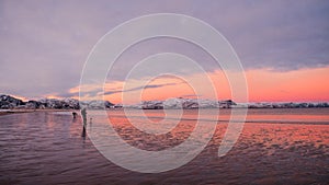 The photographer shoots a wonderful Arctic sunset landscape on the Barents sea