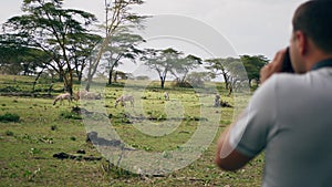 Photographer Takes Pictures On The Camera Of Wild Zebras In The African Reserve