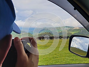 Photographer takes pictures from car window. Photo safari, in mountains.