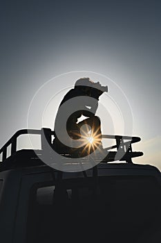 Photographer takes pictures standing on car roof rack. Contre jour picture