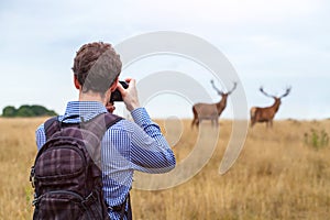 Photographer taking photo of wildlife