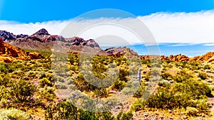 Photographer taking a picture of Colorful Mountains along Northshore Road SR167 in Lake Mead National Recreation Area