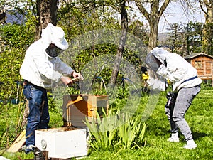 Photographer taking pictures of apiarist in garden