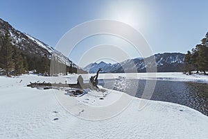 Fotógrafo viajero sobre el montana en próximamente primavera 