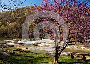 Photographer by Valley Falls on a bright spring morning