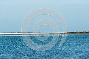 Photographers at the beach