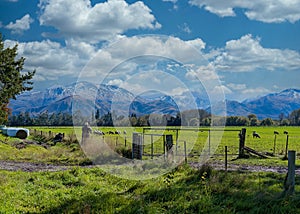 Photographers Capturing New Zealand Landscape