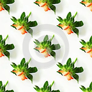 Photographic collage, seamless pattern with Isolated close up green peduncle of eaten strawberry on a white background