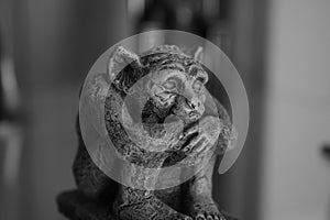 Photographie d`une gargouille en noir et blanc photo