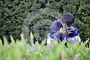 Photographing Flowers