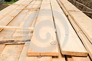 Photographing timber