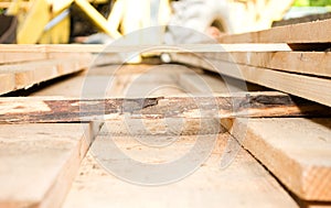 Photographing timber