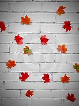 Photography abstract composition bright orange autumn maple leaves cut from paper on a white brick wall background