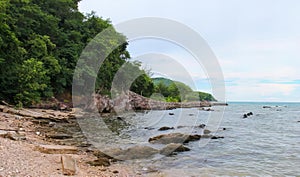 a photography of a beach with a rocky shore and a few trees, lakeshore with rocks and trees on a cloudy day photo