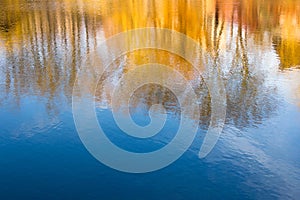 Photography blur tree reflection on water.