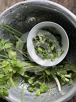 a photography of a bowl of cilantro and a bunch of parsley, mortar and a bowl of cilantrope in a metal bowl
