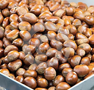 a photography of a box of chestnuts with a lot of nuts, horse chestnuts in a metal container on a table