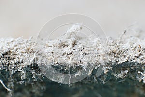 Detailed photography of constructional material with asbestos fibres. Health harmful and hazards effects photo