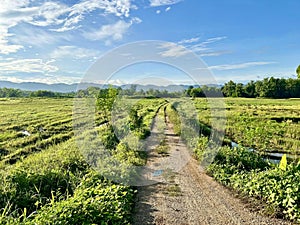 a photography of a dirt road in a field with a sign on it, labyrinth shaped dirt road with a grassy field and a stream