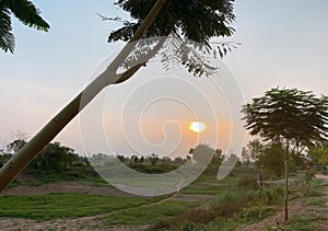 a photography of a dirt road with a train passing by, swinger on a tree near a dirt road with a sunset in the background