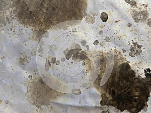 a photography of a dirty surface with a lot of dirt and dirt on it, petri dish with black moldy substance on white paper