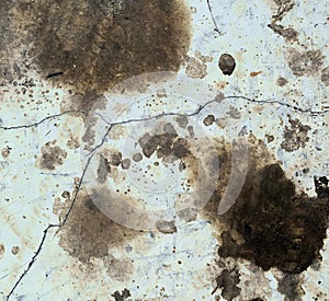 a photography of a dirty wall with a lot of dirt on it, nematode worms on a dirty surface with a white background