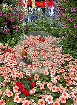 a photography of a garden with a lot of flowers and a red umbrella, glasshouse with a garden of flowers and a clock in the center