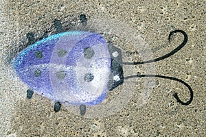 Ladybug painted purpel on a sidewalk
