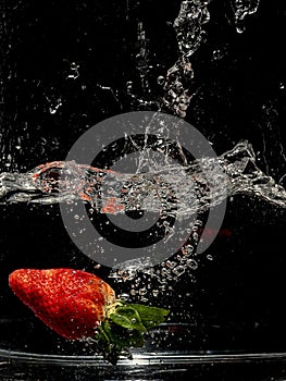 Strawberry swimmer photo